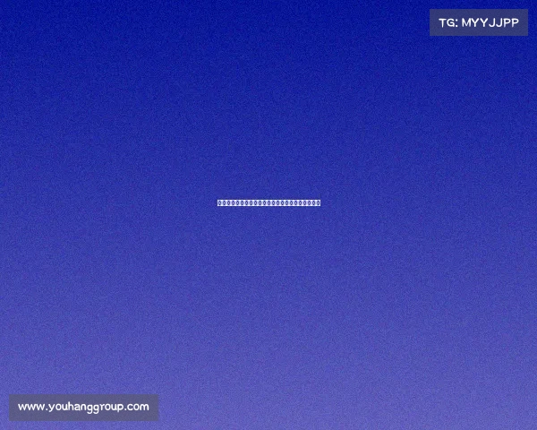 网球比赛用具全解析：从球拍到球场设施的全面指南