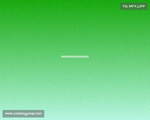 热刺未对尼科帕斯提出报价，意大利传闻暂未成真