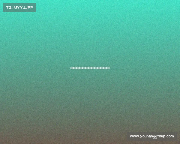 小维阿黎明时告别尤文训练营以租后买加盟马赛展开新篇章