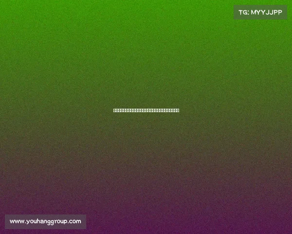 网球赛事安排全面解析：从赛程到规则助你轻松掌握比赛节奏